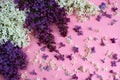 Texture of flowers of lilac on a pink background Royalty Free Stock Photo