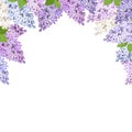 Background with lilac flowers. Vector illustration.