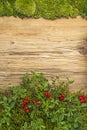 Background with lingonberries and old rustic wooden board and moss