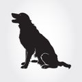 Vector Border Collie Dog Silhouettes. Royalty Free Stock Photo