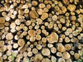 Background of logs Royalty Free Stock Photo