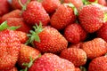 Background a lot of strawberry juicy fresh red Royalty Free Stock Photo