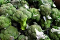 Background of lots of fresh broccoli Royalty Free Stock Photo