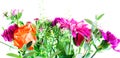 A closeup of a selection of beautiful mixed flowers on a white background.