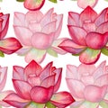 background lotus flowers. seamless pattern. watercolor illustrat Royalty Free Stock Photo