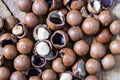 Background macadamia nut with shell