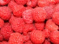 Red berries raspberries background