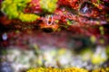 Background, macro. Surface of stone