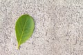 Background cement floor texture