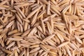 Background made of close-up top view on a group of oat seed