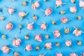 Background made from different rose blossoms on the blue base