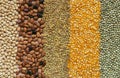 Background of seeds and dry grains, chickpeas, beans, lentils, pop corn and peas