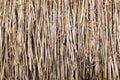 The background is made of dry straw. Texture, roof of the house. Royalty Free Stock Photo