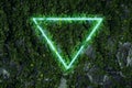 Background made of ivy leaves on stone wall with neon light triangle.