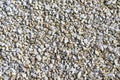 Background made of small white and brown pebbles, top view.