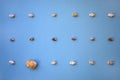 Background made of tiny identical seashells with different one. Royalty Free Stock Photo