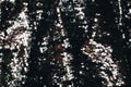 Background made of two-sided sequins Royalty Free Stock Photo