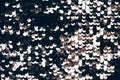 Background made of two-sided sequins Royalty Free Stock Photo