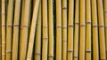 Background is made of vertical whole dry stems of yellow bamboo. Dense laying of trunks of different width, one row thick Royalty Free Stock Photo
