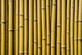 Background is made of vertical whole dry stems of yellow bamboo. Dense laying of trunks of different width, one row thick Royalty Free Stock Photo