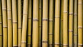 Background is made of vertical whole dry stems of yellow bamboo. Dense laying of trunks of different width, one row thick Royalty Free Stock Photo