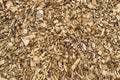 Background made of wood chips, closeup shot, wooden texture. Royalty Free Stock Photo