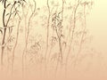 Background with many bamboo from mist.