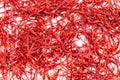 Background - many crocus saffron threads Royalty Free Stock Photo