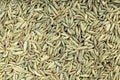 Background - many dried anise seeds Royalty Free Stock Photo