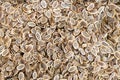 Background - many dried dill seeds Royalty Free Stock Photo