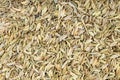 Background - many dried fennel seeds