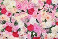 Background many flowers, floral decoration wall. Gentle pastel photo
