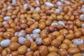 Background of many grains of dried beans. Brown beans texture. Food background.