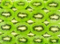 Background of the many kiwi fruit slices Royalty Free Stock Photo