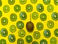 Background of many kiwi slices. One whole in the peel. Sliced kiwi on a yellow background. Raw food concept. Pattern of green Royalty Free Stock Photo