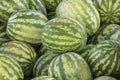 Background many large sized watermelons Royalty Free Stock Photo