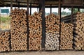 A background of many logs of eucalyptus trees stacked in rows