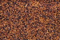 Background - many raw canihua grains