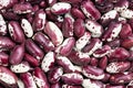 Background - many red speckled kidney beans Royalty Free Stock Photo