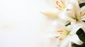Background of many snow-white lilies. Spring Easter floral design. Copy space Royalty Free Stock Photo