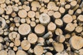 Background with many wooden logs, forest products Royalty Free Stock Photo