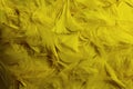 Background with many yellow feathers