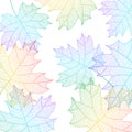 Background with maple leaves macro texture