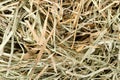 Background of meadow hay Royalty Free Stock Photo