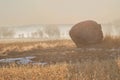 Background of a misty landscape and a singl rock