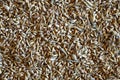 Background of mixed barley and oat seeds. Royalty Free Stock Photo