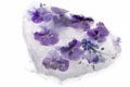 Background of mixed colours of pansy flowers in ice. Royalty Free Stock Photo