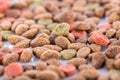 Background of mixed dry cat food Royalty Free Stock Photo