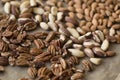 Background of mixed nuts - pecans, almonds, brasil nuts Royalty Free Stock Photo