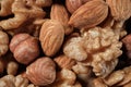 Background from a mixture of nuts of almonds, hazelnuts and walnuts. Close-up. Top view. Space for lettering and design Royalty Free Stock Photo